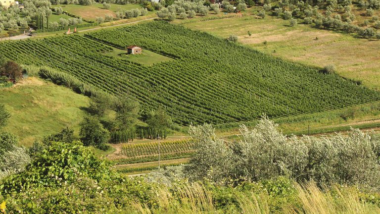 Vista dall'alto della tenuta le Scopetane